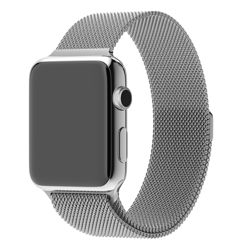 Milanese Silver 2