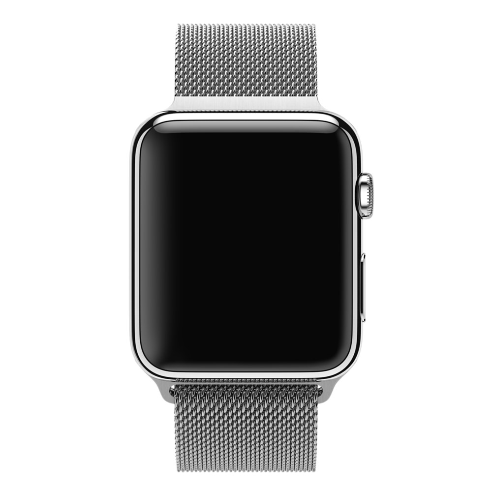 Milanese Silver 5