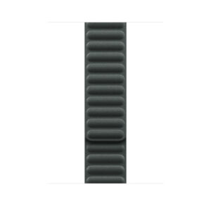 Apple Magnetic Link из FineWoven Evergreen